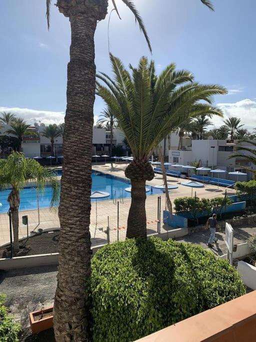 Lovely Apartment With Pool Costa Del Silencio Exterior photo